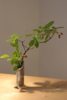 Small vase